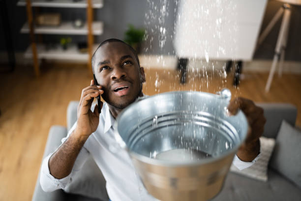 Best Sewage cleanup and water damage restoration  in Mountain Home, AR