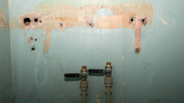Best Flood damage cleanup  in Mountain Home, AR